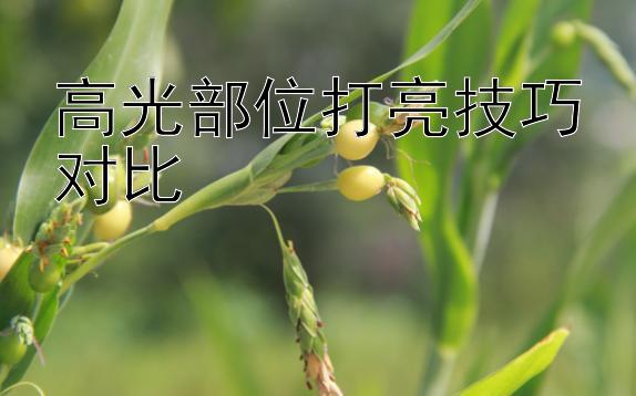 高光部位打亮技巧对比