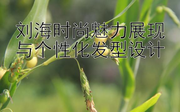 刘海时尚魅力展现与个性化发型设计