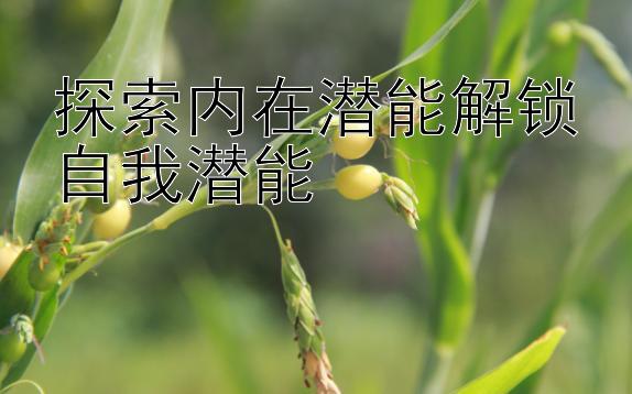 探索内在潜能解锁自我潜能