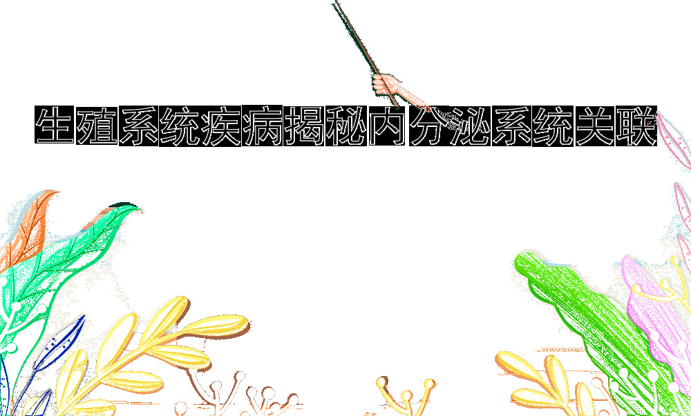 生殖系统疾病揭秘内分泌系统关联