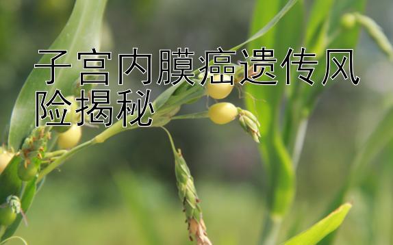 子宫内膜癌遗传风险揭秘